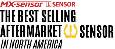 MX-Sensor 1 Sensor