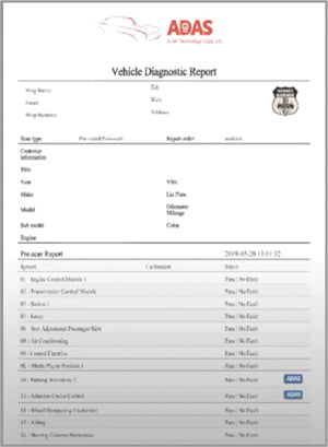 Vehicle Diagnostic Report